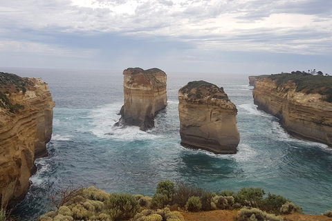 Private Express Experience - 12 Apostles - Restaurant Guide 5