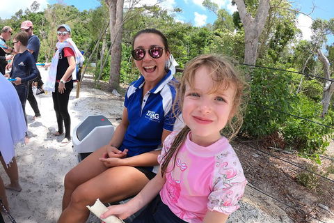 Whitehaven Beach Day Tour With Snorkel In Whitsundays Island - Restaurant Guide 1