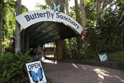 Kuranda Day Trip from Port Douglas upgrade to Skyrail  Scenic train available