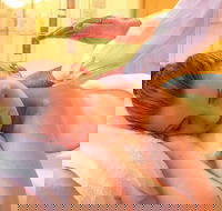 Massage relaxation Deep Tissue Whole Bodysports Etc.by Male Therapist - Restaurant Guide