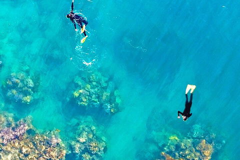 Fly & Cruise - Seaplane Package - Restaurant Guide 1