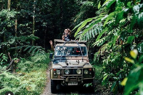 Full Day Tour In The Daintree - Restaurant Guide 4