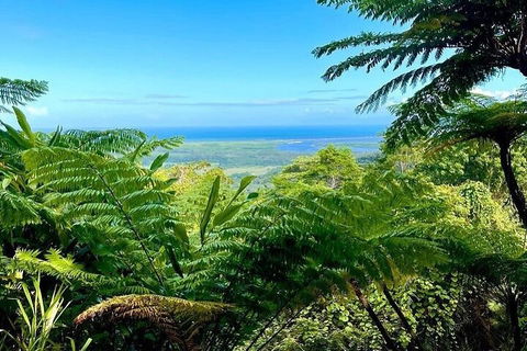 Full Day Tour In The Daintree - Restaurant Guide 5
