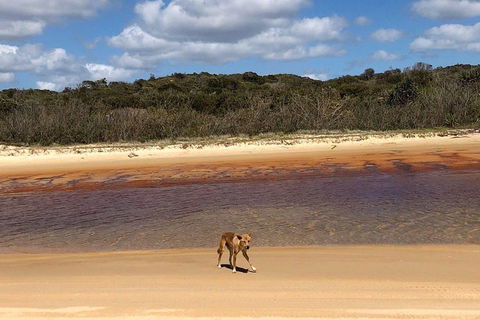 Pippies 3 Days 2 Nights Fraser Island Tour - Restaurant Guide 2