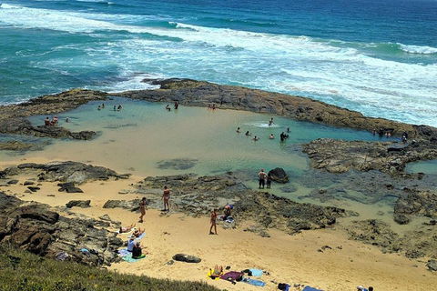Pippies 3 Days 2 Nights Fraser Island Tour - Restaurant Guide 5