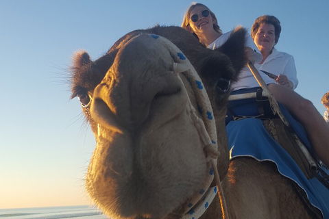 Broome Pre-sunset Camel Tour 30 Minutes - Restaurant Guide 1
