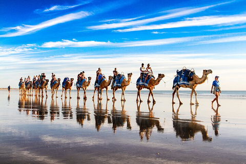 Broome Pre-sunset Camel Tour 30 Minutes - Restaurant Guide 2