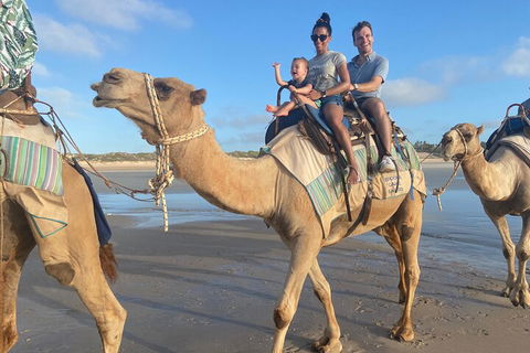 Broome Pre-sunset Camel Tour 30 Minutes - Restaurant Guide 3