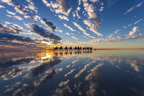 Broome Pre-sunset Camel Tour 30 Minutes - Restaurant Guide 4