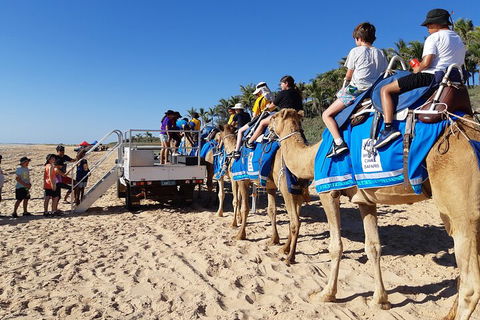 Broome Pre-sunset Camel Tour 30 Minutes - Restaurant Guide 5