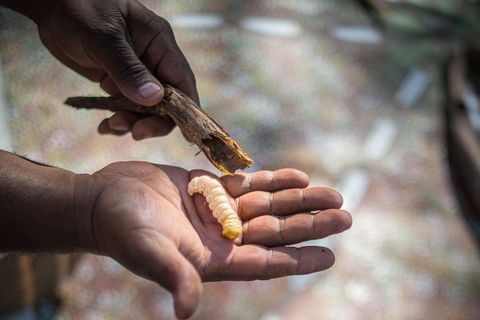 Karrke Aboriginal Cultural Experience - Restaurant Guide 3