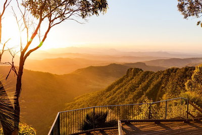 O'Reilly's  Lamington National Park incl. Alpaca Farm  Vineyard