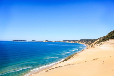 Kayak With Dolphins And 4WD Great Beach Drive Day Trip From Noosa - Restaurant Guide 0