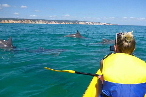 Kayak With Dolphins And 4WD Great Beach Drive Day Trip From Noosa - Restaurant Guide 1