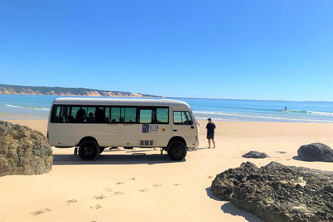Kayak With Dolphins And 4WD Great Beach Drive Day Trip From Noosa - Restaurant Guide 4