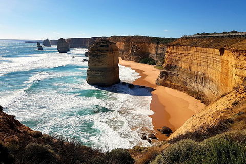 Helicopter Flight + Fine Dining Private Luxury Great Ocean Road Tour - Restaurant Guide 4
