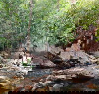 Ethical Adventures - Best in the WET - Litchfield / Kakadu 3 Day- max 10 guests - Restaurant Guide
