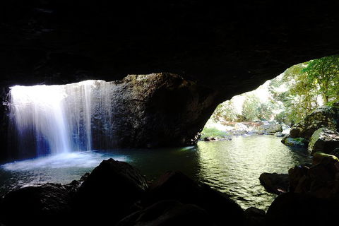 Rainforest & Waterfalls Extravaganza - Restaurant Guide 0