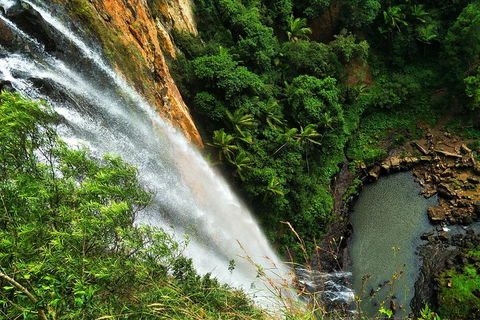 Rainforest & Waterfalls Extravaganza - Restaurant Guide 1