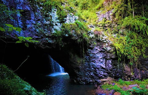 Rainforest & Waterfalls Extravaganza - Restaurant Guide 5