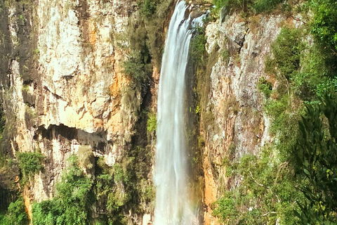 Private Tour - Rainforest & Waterfalls Extravaganza - Restaurant Guide 0