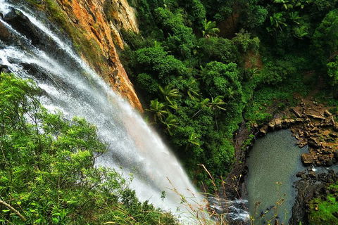 Private Tour - Rainforest & Waterfalls Extravaganza - Restaurant Guide 2