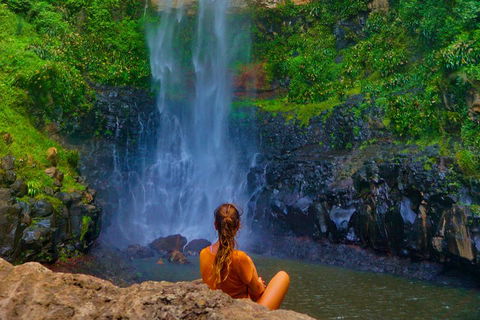 Private Tour - Rainforest & Waterfalls Extravaganza - Restaurant Guide 3