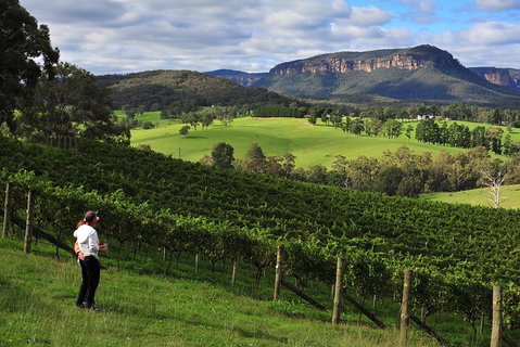 Private Blue Mountains And Winery Day-Trip From Sydney - Restaurant Guide 2