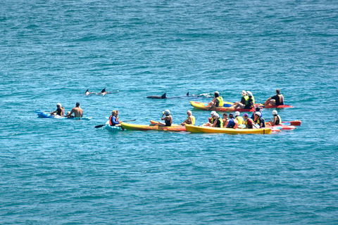 The Byron Bay Sea Kayak Tour - Restaurant Guide 1