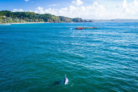 The Byron Bay Sea Kayak Tour - Restaurant Guide 2