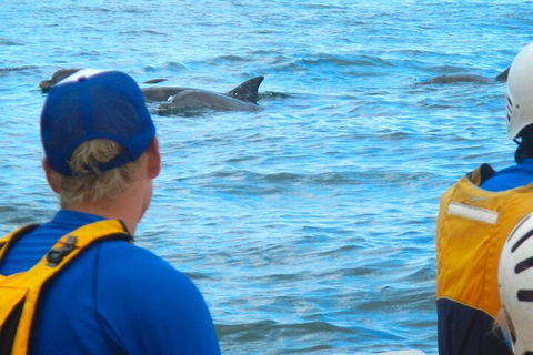 The Byron Bay Sea Kayak Tour - Restaurant Guide 4