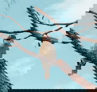 Highlights Of Kings Park - Restaurant Guide