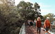 Highlights Of Kings Park - thumb 3