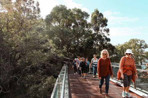Highlights Of Kings Park - Restaurant Guide 3