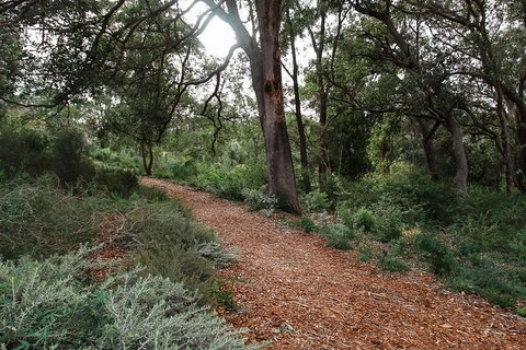 Highlights Of Kings Park - Restaurant Guide 5