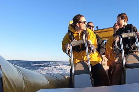 Noosa Oceanrider - Adventure Tour - Restaurant Guide 0