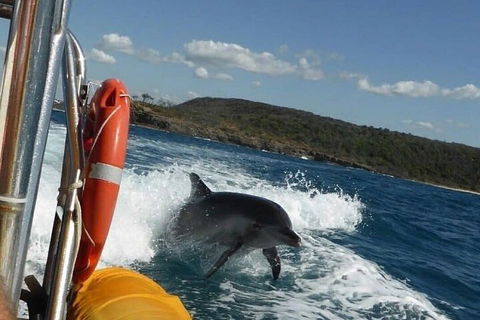 Noosa Oceanrider - Adventure Tour - Restaurant Guide 1