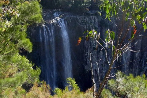 Byron Bay Hinterland Tour Including Rainforest Walk To Minyon Falls - Restaurant Guide 0