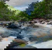 Cape Tribulation Day Tour - Restaurant Guide