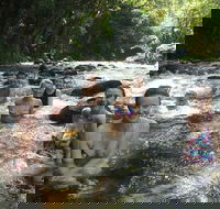 Daintree Rainforest Cape Tribulation Mossman Gorge Small-Group Day Tour - Restaurant Guide