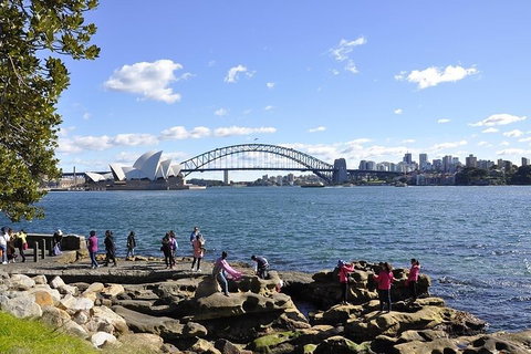 Sydney Sightseeing Bus Tours - Restaurant Guide 2