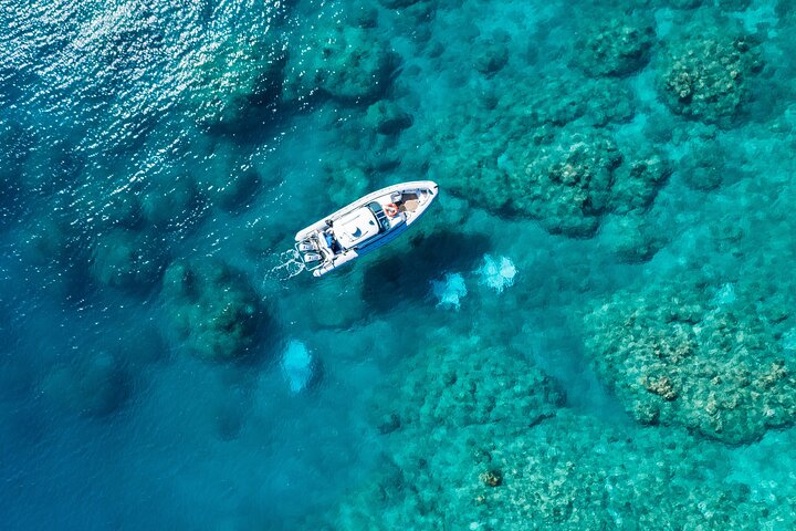Hamilton Island QLD Restaurant Guide