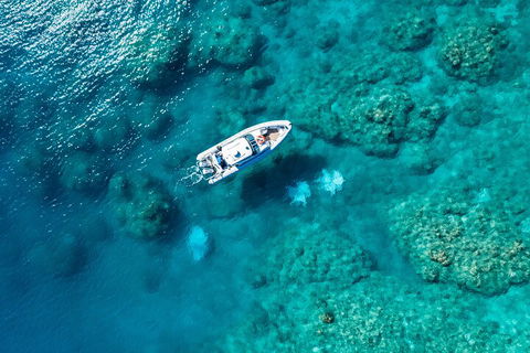 Premium Private Charter - Restaurant Guide 0