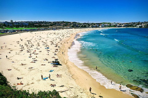 Sydney & Bondi Beach Plus Local Secrets With 'Personalised Sydney Tours' - Restaurant Guide 5