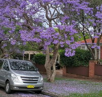 Sydney Secrets  Bondi Beach Private 4 Hr Morning with Personalised Sydney Tours - Restaurant Guide