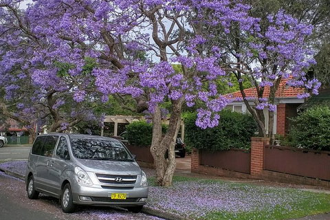 Sydney Secrets & Bondi Beach Private 4 Hr Morning With Personalised Sydney Tours - Restaurant Guide 0