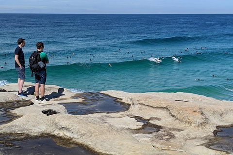 Sydney Secrets & Bondi Beach Private 4 Hr Morning With Personalised Sydney Tours - Restaurant Guide 2