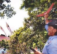 illi-Langi The Rocks Aboriginal Dreaming Tour - Restaurant Guide