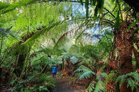 3-Day Adelaide To Melbourne Tour Including The Great Ocean Road - Restaurant Guide 2