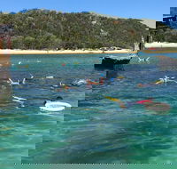 All Inclusive Dolphin and Tangalooma Wrecks Cruise - Restaurant Guide